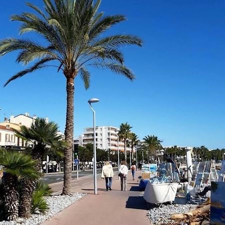 Studio Cosy Terrasse Front Mer Кань-сюр-Мер Экстерьер фото